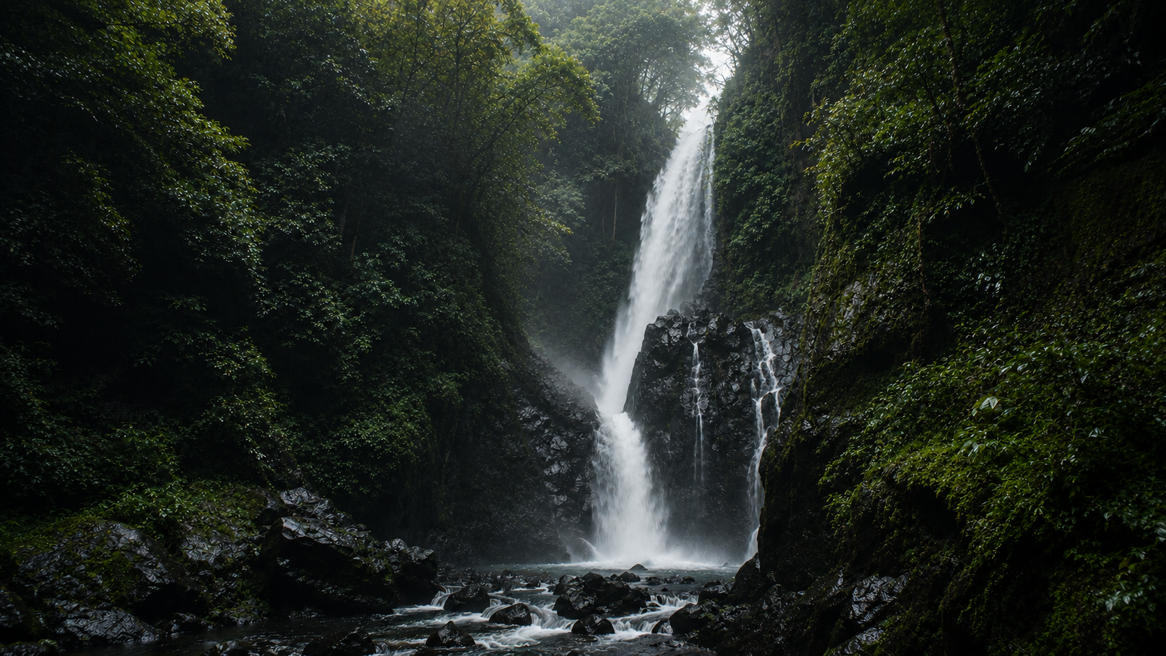 Cachoeira na floresta — sistemas naturais vivos